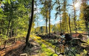 E-Bike-Tour Bad Bertrich