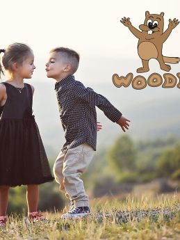 kids program woody v2